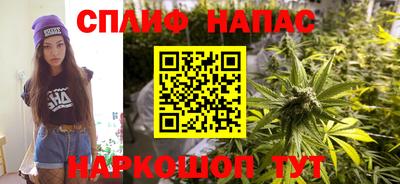дмт Брянск