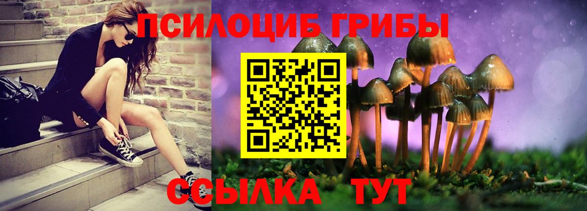 Грязи  Псилоцибиновые грибы прущие грибы  где продают наркотики  Вход с VPN 